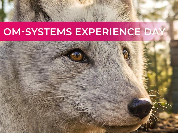 Featured course: OM Systems Animal Encounters Experience