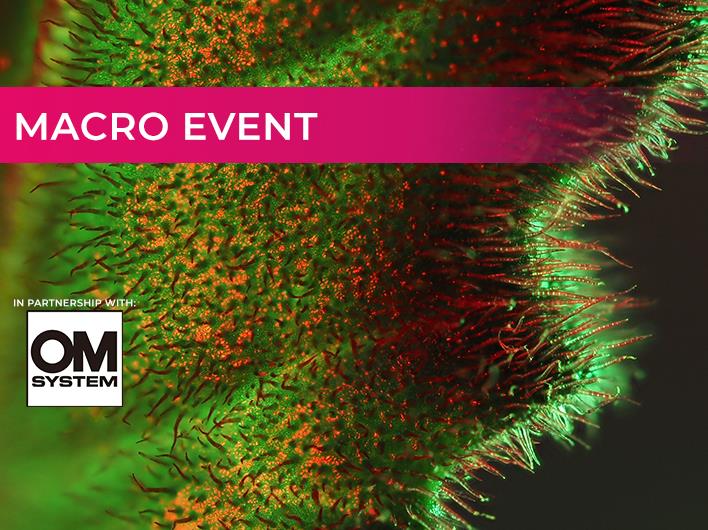 Featured course: OM-Systems In-Store Macro Day