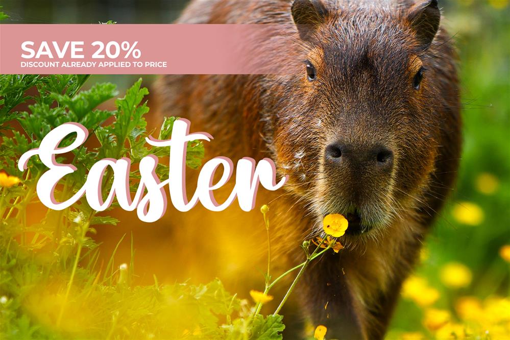 Featured course: Animal Encounters Experience