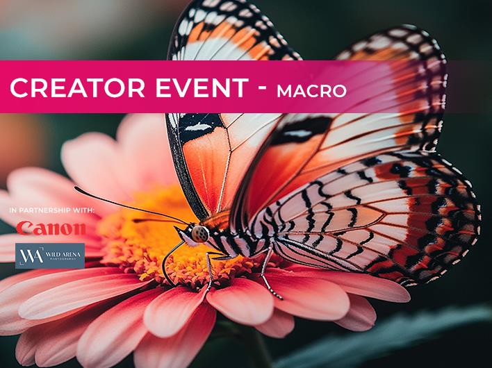 Featured course: Canon Macro Day with Wild Arena