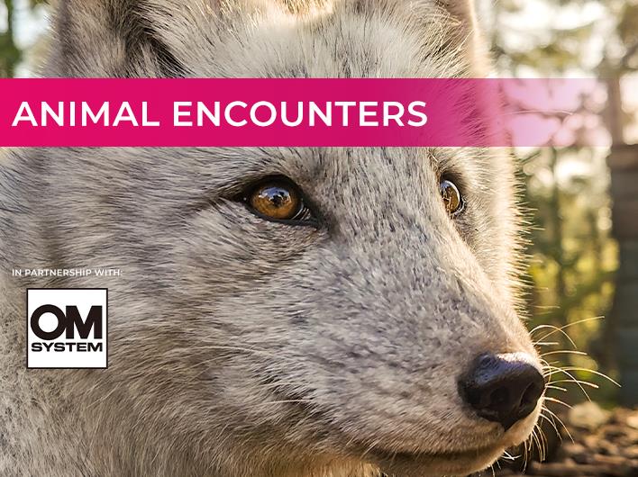 Featured course: OM Systems Animal Encounters Experience