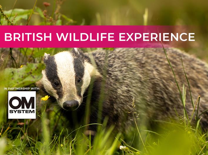 Featured course: OM Systems British Wildlife Experience