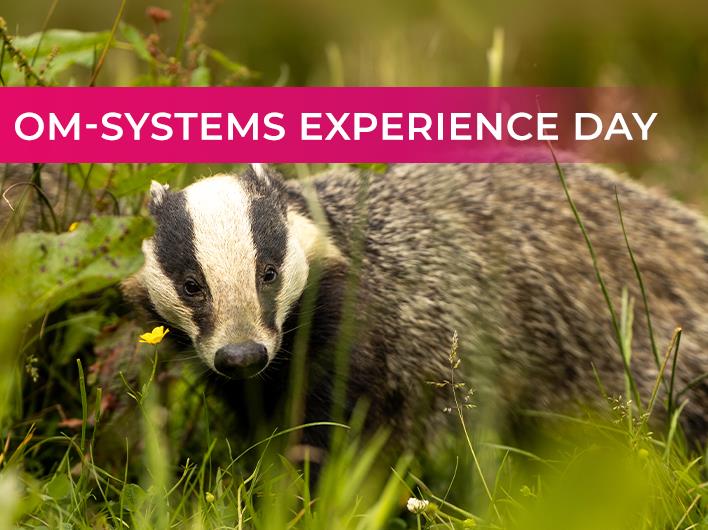 Featured course: OM Systems British Wildlife Experience
