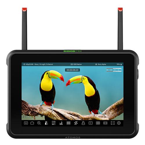 Buy Atomos Shinobi 7 RX 7-inch HDR Monitor - Jessops
