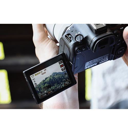 EOS R6 Mark III Mirrorless Camera with RF 24-105mm F4L IS USM Lens Product Image (Secondary Image 8)