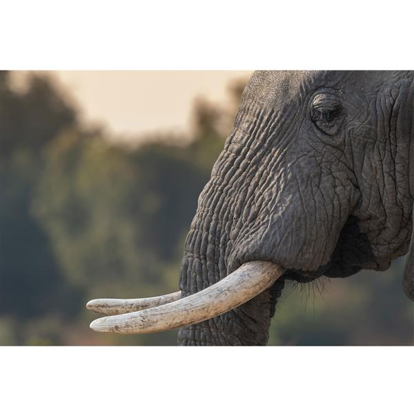 XF400mm F4.5 R LM OIS WR Lens  Product Image (Secondary Image 8)