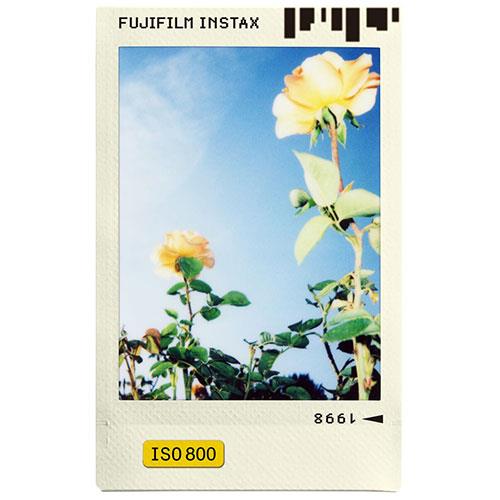 Buy instax mini Photo Slide Instant Film - 10 Shots - Jessops
