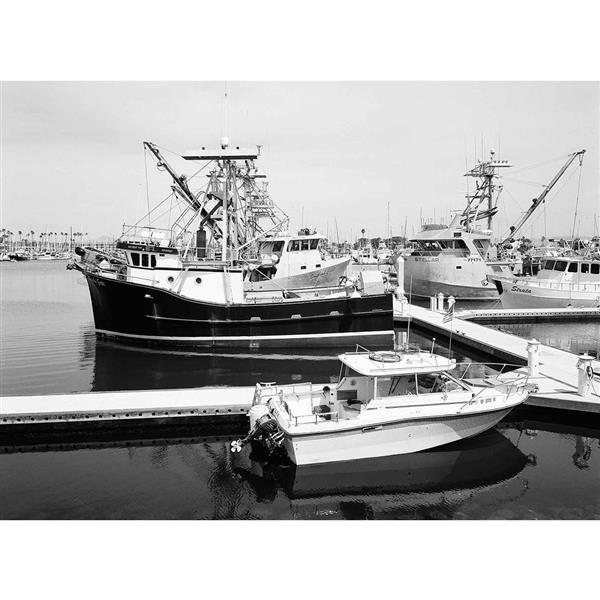Ektapan 100 120 Black & White Film Pack of 5 Product Image (Secondary Image 1)