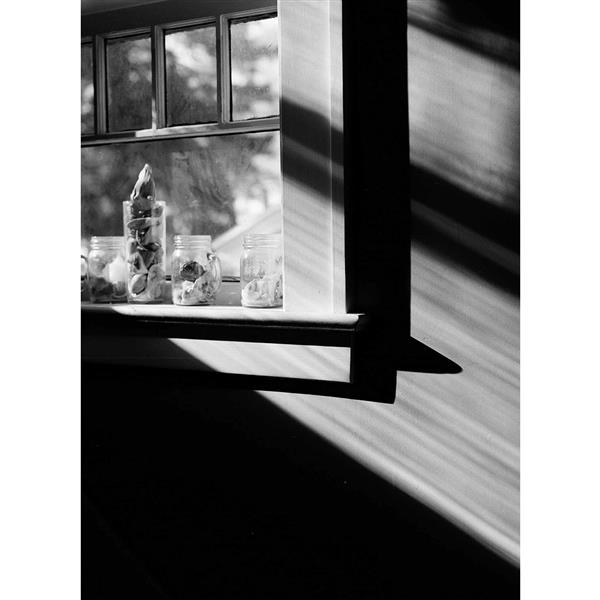 Ektapan 100 120 Black & White Film Pack of 5 Product Image (Secondary Image 2)