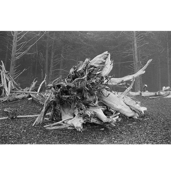 Ektapan 400 35mm Black & White Film 36 Exp Product Image (Secondary Image 2)