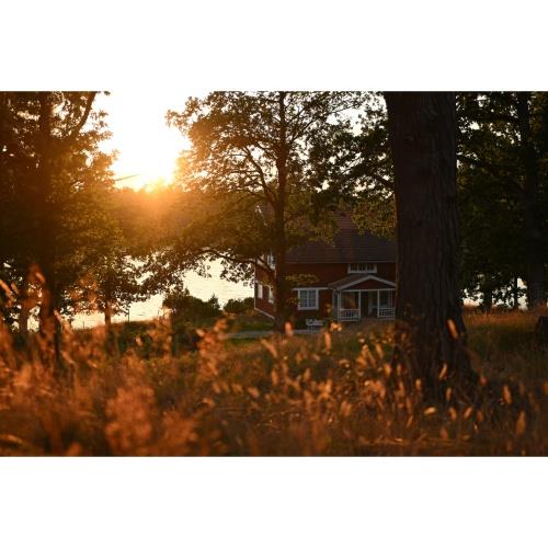NIKON NIKKOR Z 16-50MM F2.8 VR Product Image (Secondary Image 4)