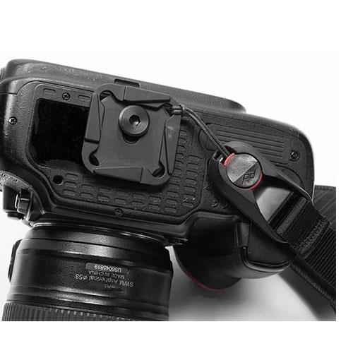 Standard Plate Product Image (Secondary Image 1)