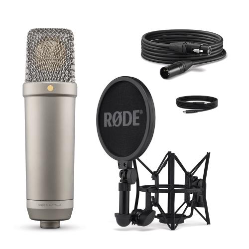 NT1 5th Generation Microphone in Silver Product Image (Secondary Image 2)