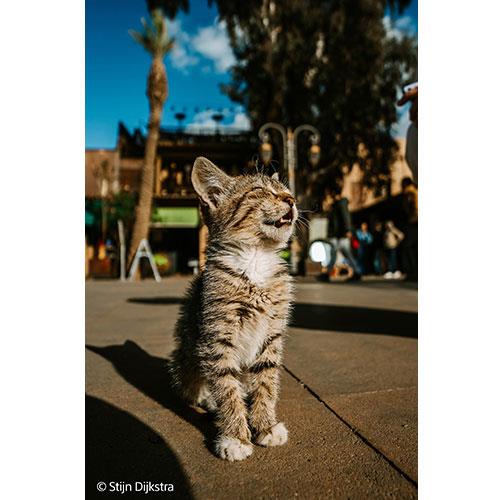 FE 16mm F1.8 G Lens  Product Image (Secondary Image 5)
