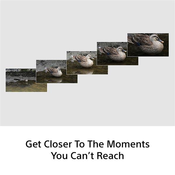 FE 100-400mm F5.6-8 OSS Lens Product Image (Secondary Image 7)