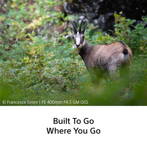 FE 400mm F4.5 GM OSS Lens Product Image (Secondary Image 5)