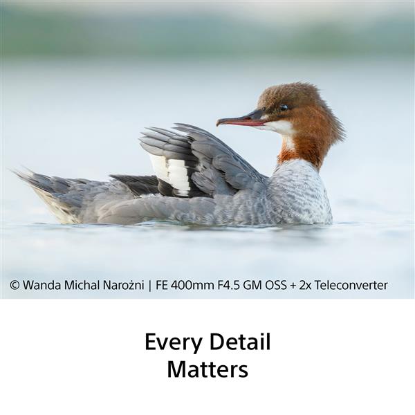 FE 400mm F4.5 GM OSS Lens Product Image (Secondary Image 6)