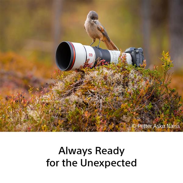 SONY 2 Product Image (Secondary Image 4)