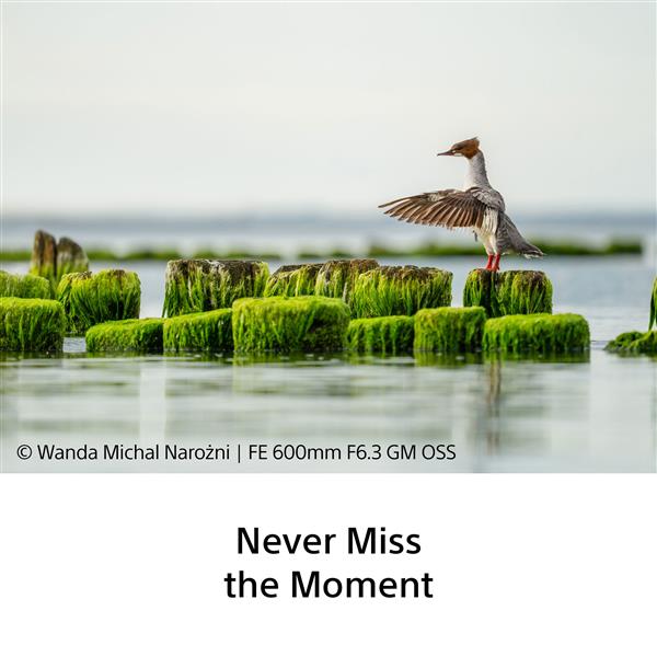 SONY 2 Product Image (Secondary Image 7)
