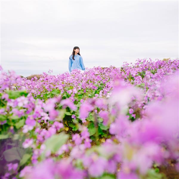20-40mm F/2.8 Di III VXD Lens - Nikon Z mount Product Image (Secondary Image 6)