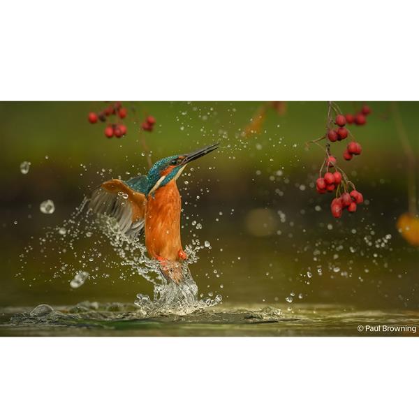 a7 V Mirrorless Camera Body with FE 70-200mm F2.8 GM OSS II Lens Product Image (Secondary Image 5)