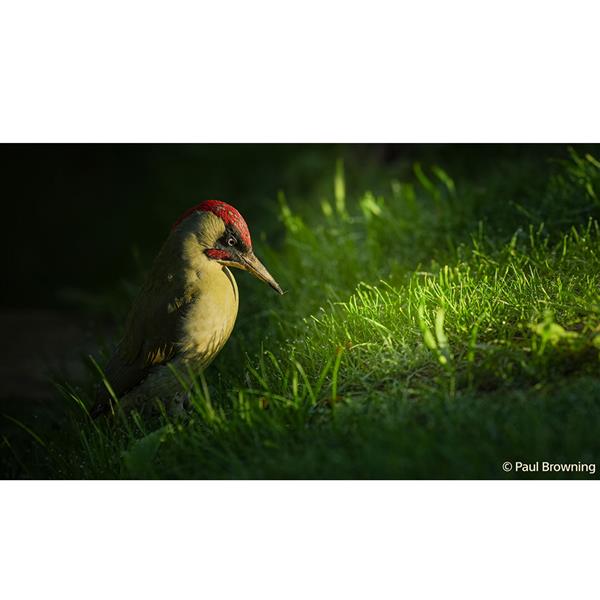 a7 V Mirrorless Camera Body with FE 85mm F1.4 GM II Lens Product Image (Secondary Image 6)