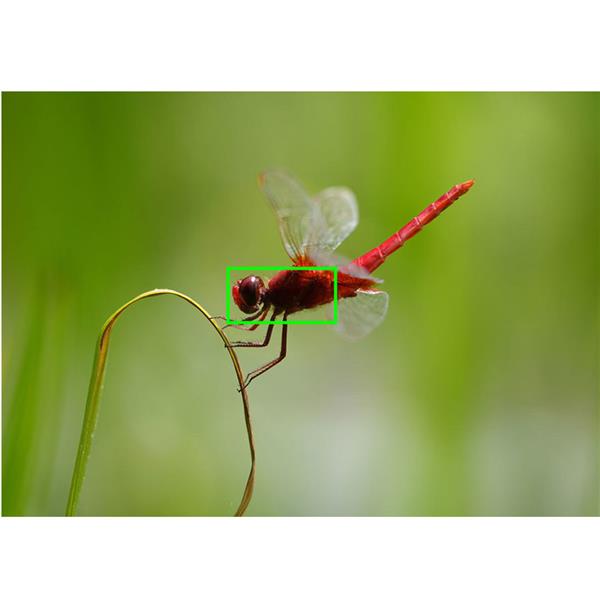 a6700 Mirrorless Camera with 16-50mm F3.5-5.6 PZ Lens and 70-350mm F4.5-6.3 G Lens Product Image (Secondary Image 8)