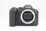 Canon EOS R6 Mark II Mirrorless Camera Body  (Used - Excellent) product image