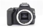 Canon EOS 250D Digital SLR Body (Used - Mint) product image