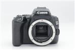 Canon EOS 200D Mark II Body Only (Used - Excellent) product image